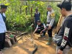 Ular-King-Kobra-yang-kepalanya-ditancapkan-kayu-oleh-Ocang.jpg