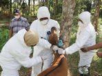 Vaksinasi-terhadap-ternak-di-Kabupaten-Hulu-Sungai-Selatan-HSS-26062022-12.jpg