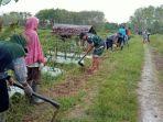 Warga-Desa-Pauh-Kecamatan-Limpasu-bersihkan-jalan-usaha-tani.jpg