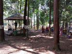 Wisata-Kalsel-HutanPinus-Banjarbaru-sering-jadi-tempat-kegiatan-luar-ruangan-19032023.jpg