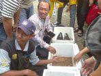 Workshop-budidaya-Maggot-mahasiswa-ULM.jpg