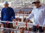 YABN-menyalurkan-bantuan-1000-ekor-ayam-petelur-lengkap-dengan-kandang.jpg