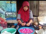 acil-ana-memperlihatkan-bunga-mawar-yang-telah-dirontok-untuk.jpg