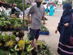 aktivitas-jual-beli-tanaman-hias-di-jalan-a-yani-km-7-kota-banjarmasin.jpg