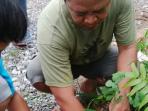 anggota-kompilibas-sedang-menanam-pohon.jpg