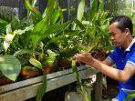 anggun-angkasa-bela-persada-telaten-merawat-tanaman-anggreknya.jpg