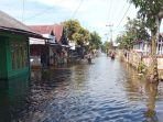 banjir-di-Desa-Jejangkit-Muara-Kabupaten-Barito-Kuala-batola-kalsel-Senin-27032023.jpg