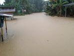banjir-melanda-desa-halong-kecamatan-haruai-tabalong-kalsel-kamis-14012021.jpg