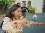 bebby-fey-lari-terbirit-birit-saat-didekatin-anjing-di-pingggir-jalan.jpg