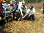 bekantan-ben-dilakukan-pt-pertamina-sbi-pulau-bakut_20151008_145248.jpg