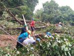 bencana-tanah-longsor-tersebut-menga.jpg