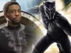black-panther_20180219_232743.jpg