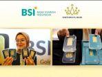 bsi-gld-1.jpg