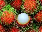 buah-rambutan.jpg