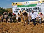 bupati-tala-hm-sukamta-menanam-benih-hibrida-jh37-katuju.jpg