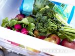 cara-simpan-yang-benar-agar-sayur-dan-buah-tahan-lama-dan-tetap-segar_20170204_143830.jpg