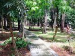 di-hutan-kota-ini-kita-bisa-olahraga-jalan-kaki-melintasi-jalur-pedestrian.jpg