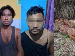 Dua Pencuri Sawit di HSU Ditinggal Kabur Teman, Begini Penjelasan Polisi