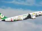 eva-air-melakukan-pembatalan_20171210_215505.jpg