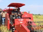 gubernur-h-sahbirin-noor-memanen-padi-serasi-di-kecamatan-beruntungbaru.jpg