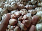 harga-bawang-putih-di-pasar-tradisional-di-karawang-rp-55000-per-kilogram.jpg