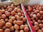harga-telur-ayam-turun-menjadi-rp-22000kg.jpg