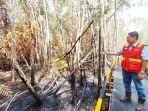 hutan-galam-terbakar-di-kawasan-konservasi-PT-Jorong-Barutama-Greston-tala-kalsel-11112023.jpg