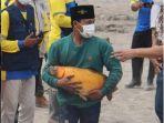 ikan-mas-selamat-di-tengah-bencana-erupsi-gunung-semeru-di-lumajang-jawa-timur.jpg