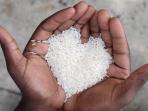 ilustrasi-beras-miskin_20160301_165137.jpg