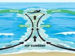 ilustrasi-rip-current_20180805_071344.jpg