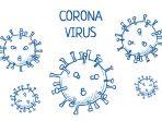 ilustrasi-virus-corona-covid-19_012.jpg