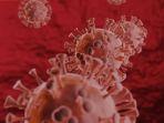 ilutrasi-virus-corona-varian-omicron.jpg