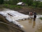 irigasi-linuh-pampain-tapin-jebol_20170222_152226.jpg