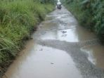 jalan-desa-yang-mengalami-kerusakan-parah-kondisinya-cukup-memprihatinkan_20170308_092554.jpg