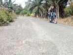jalan-mulai-rusak-desa-bakau-pamukan-utara-kalsel-kamis-1382020.jpg