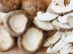 jamur-shiitake_20170517_135207.jpg