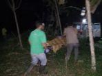 jasad-seger-saat-dievakuasi-dari-kebun-karet-di-daerah-muara-uya-senin-1832019-malam.jpg