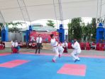 karateka_20170115_122045.jpg