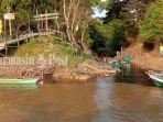 kawasan-hutan-taman-nasional-sebangau.jpg