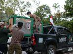 kawasan-tnbbbr-untuk-pelepasliaran-orangutan-1.jpg