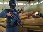 kayu-ilegal-yang-diamankan-petugas-gakkum-klhk-kalimantan.jpg