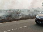 kebakaran-lahan-di-kalteng-terus-terjadi-sejumlah-lahan.jpg