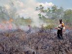 kebakaran-lahan-di-pinggiran-kota-palangkaraya.jpg
