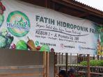 kebun-fatih-hidroponik-di-jalan-pramuka-gang-200-banjarmasin-amirul-yusuf.jpg