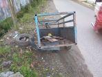 kecelakaan-kalsel-pengendara-motor-pembawa-gerobak-alami-laka-lantas.jpg