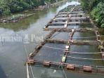 keramba-di-Sungai-Riam-Kanan-Awang-Bangkal-Barat-Kabupaten-Banjar-kalsel-Minggu-30102022.jpg