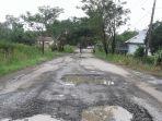 kondisi-badan-jalan-di-Desa-Sungai-Pinangyang-diselubungi-lubang-lubang-menganga.jpg