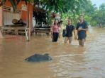 kondisi-banjir-di-sejumlah-desa-di-kecamatan-tumbang-titi-kabupaten-ketapang.jpg