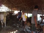 kotoran-sapi_20170919_185319.jpg