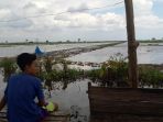 lahan-persawahan-di-sekitar-basirih-banjarmasin-selatan_20170320_151739.jpg